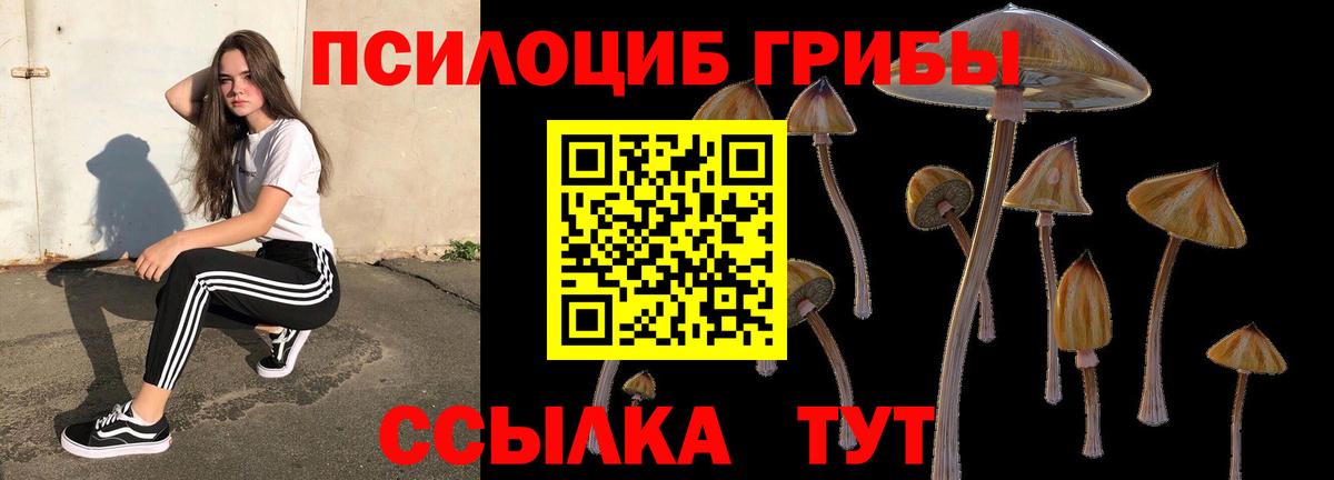 Псилоцибиновые грибы мухоморы  Вход с VPN  Саратов  Галлюциногенные грибы прущие грибы 